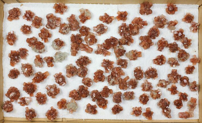 Lot: Twinned Aragonite Clusters - Pieces #103615